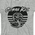 thumbnail image 2 of Cobra Kai Black Snake Icon Boy's Athletic Heather T-shirt-Medium, 2 of 7