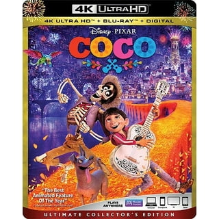  Coco Chanel [DVD] : Movies & TV
