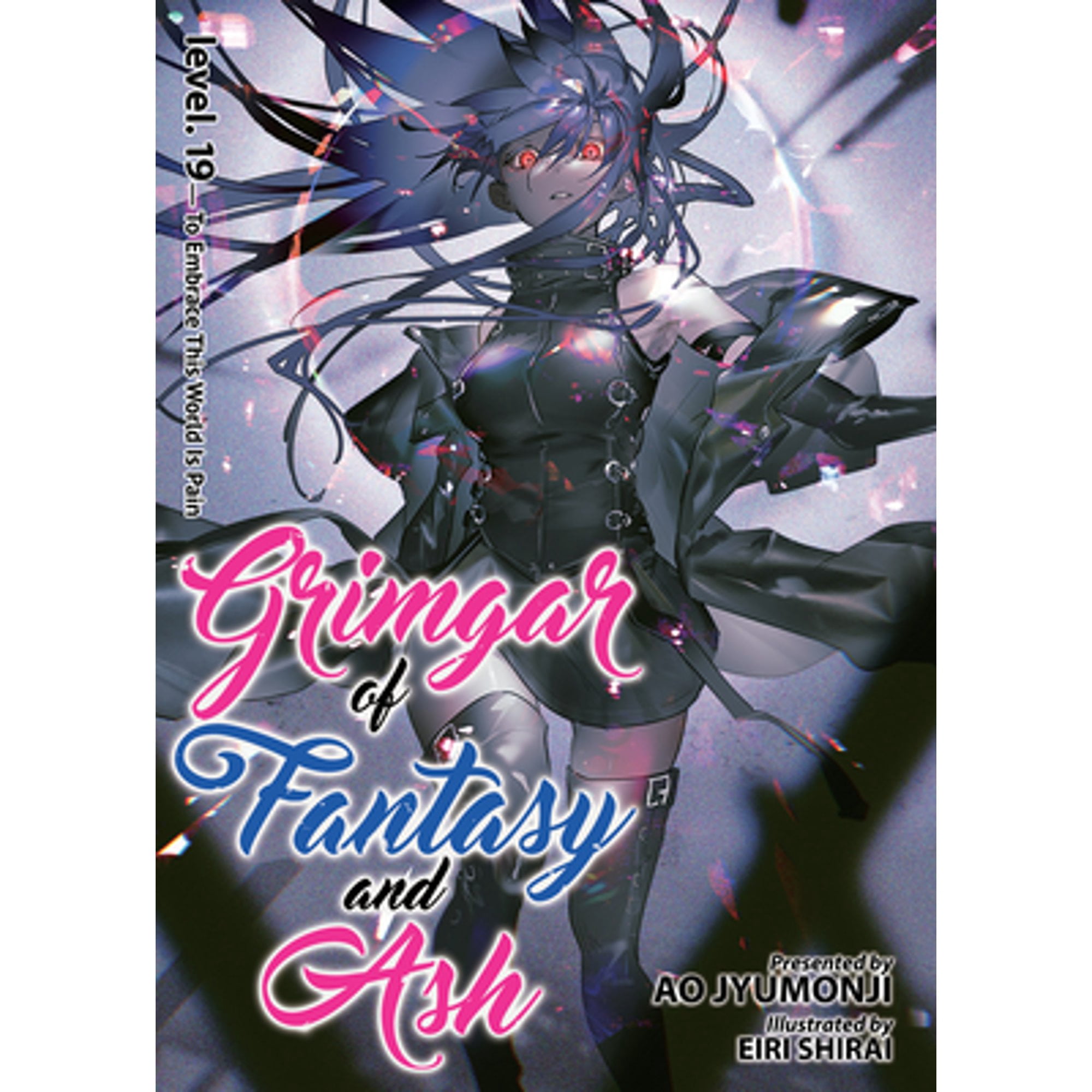 High School DXD (Light Novel) High School DXD, Vol. 12 (Light