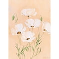thumbnail image 3 of Boucher, Nathalie 14x18 Black Modern Framed Museum Art Print Titled - White poppy II, 3 of 5
