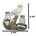 thumbnail image 6 of Pacific Giftware Perching On Tree Branch Salt and Pepper Shakers Set with Holder, 6.25" x 3" x 6.5", Snowy Owl, 6 of 8