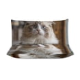 thumbnail image 3 of 3 Pcs Soft Bedding Set, Includes 1 Duvet Cover with Zipper And 2 Pillow Shams,Cute Persian Cat Twin(86"x70"), 3 of 8