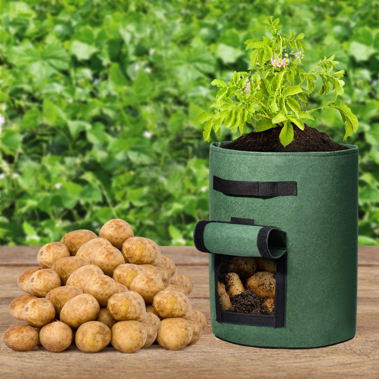 HOUSE DAY 5-Pack 7 Gallon Grow Bags, Green photo 8