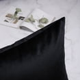 thumbnail image 4 of Phantoscope Silky Velvet Decorative Throw Pillows, 20 x 20 in, Black, 2 Pack, 4 of 7