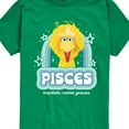 thumbnail image 3 of Sesame Street - Pisces Big Bird - Toddler and Youth Short Sleeve Graphic T-Shirt, 3 of 5