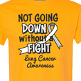 thumbnail image 4 of Inktastic Lung Cancer Awareness Not Going Down Without a Fight T-Shirt, 4 of 5