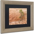 thumbnail image 2 of Trademark Fine Art "Lone Survivor" Canvas Art by Michael Blanchette Photography Black Matte, Birch Frame, 2 of 4