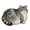 Grayish-white, variant on AJZIOJIRO Cute Cat Bath Mat, 3D Diatomaceous Earth Soft Shower Rug, Absorbent Quick Dry Non-Slip Silica Clay Floor Mat for Bathroom,Multicolored，Various sizes
