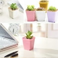 thumbnail image 6 of 24Pack 3 Inch Plastic Plant Pots,Square Seedling Nursery Pots Succulent Flower Planter Container with Saucers for Garden,Room,Office,Balcony Decor,Multicolor, 6 of 6