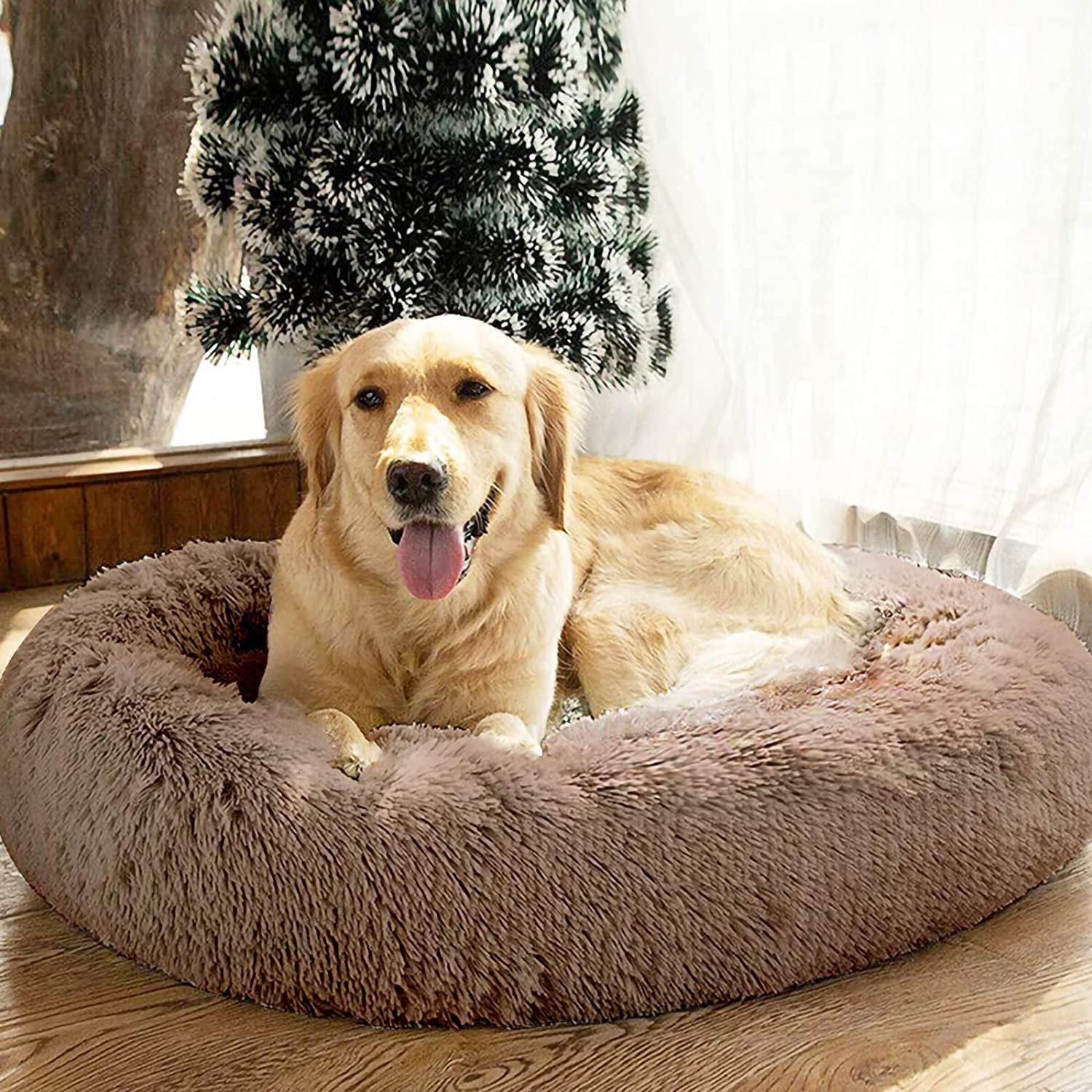 comfy calming bed