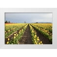 thumbnail image 3 of Dana Styber 32x23 White Modern Wood Framed Wall Art Titled - Tulips at Sunset II, 3 of 5