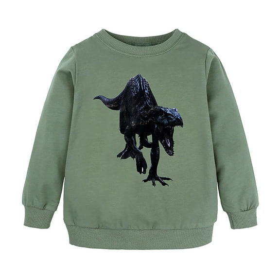 Toddler Sweatshirt Boy Long Sleeve Crew Neck Print Casual Comfortable Pullover Hooded 2-3 Years