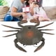 thumbnail image 5 of Juguete De Cangrejo RC, Cangrejo Eléctrico De Control Remoto Con Patas Y Pinzas Móviles, Acción De Gateo, Para Niños, Regalo De Cumpleaños Y Navidad, 5 of 7