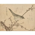thumbnail image 2 of Kubo Shunman 18x15 Black Ornate Wood Framed Double Matted Museum Art Print Titled - Warbler on Plum&nbsp;Branch (ca.&nbsp;1806-8), 2 of 5
