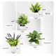thumbnail image 2 of 4 Macetas Plantas Artificiales Barro Decoración Bonsai Verde, 2 of 5