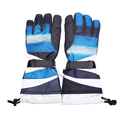 WENANAS Snow Skiing Gloves Stylish Thinsulate Insulation Lined Winter Waterproof Thermal Breathable (Large, Grey&Blue) by Weanas