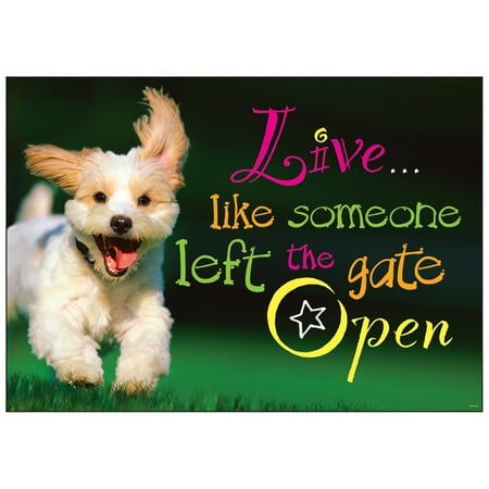live like someone left