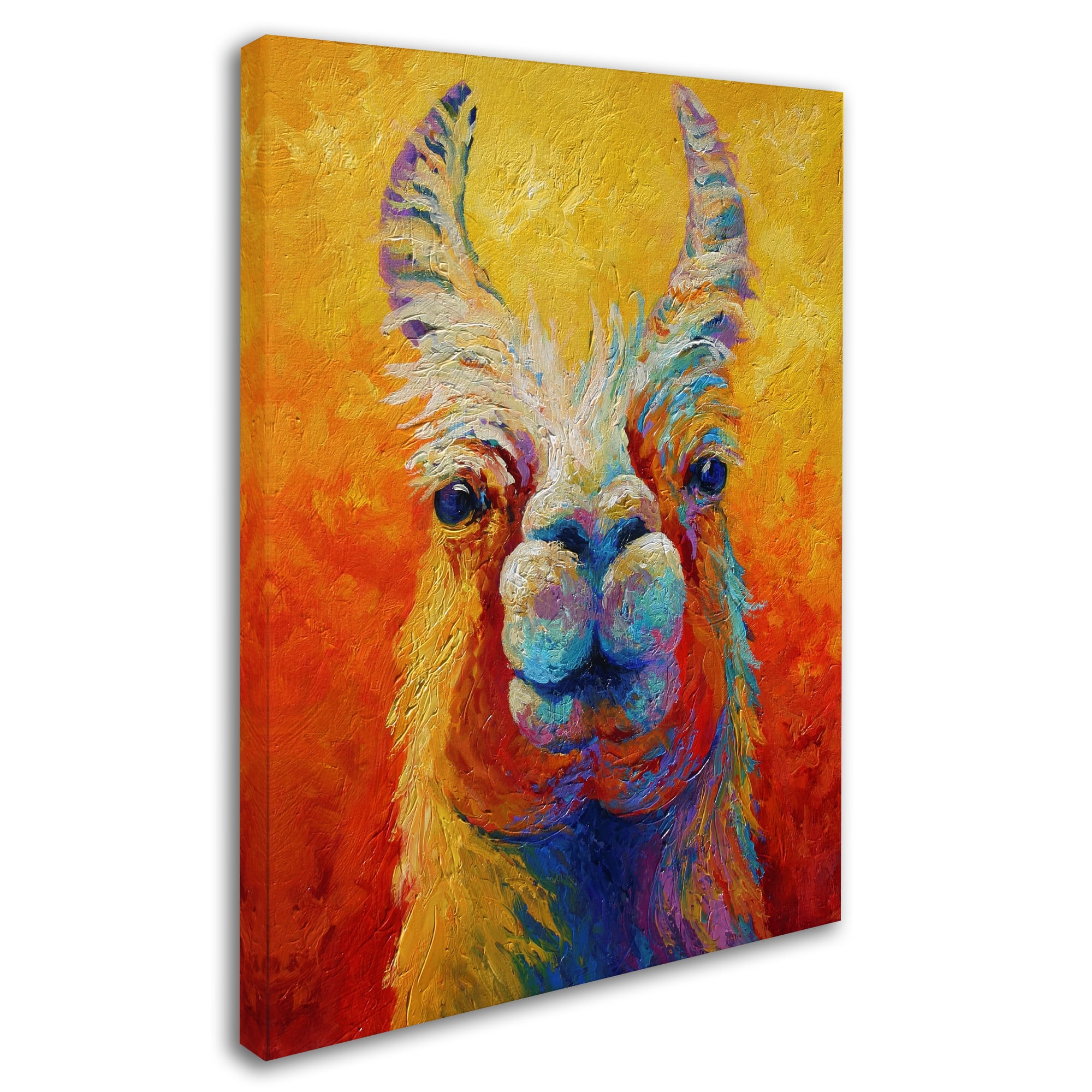 Trademark Fine Art 'Lookin At Me' Canvas Art by Marion Rose