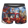 thumbnail image 4 of Goofa Halloween Pets Pumpkins Printed Men's Boxer Briefs Underwear, Moisture-Wicking Underwear, Trunk,Soft and Breathable Cotton Underwear-Large, 4 of 9