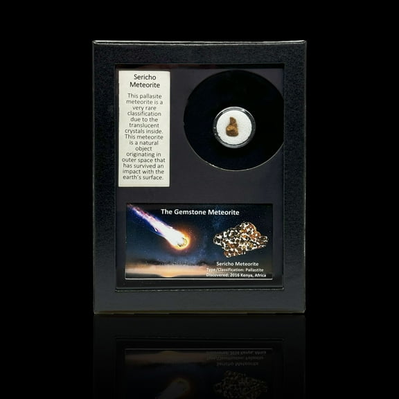 Sericho (Pallasite) Meteorite in Collector's Box