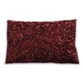 thumbnail image 1 of Ahgly Company Indoor Rectangular Contemporary Lumbar Throw Pillow, 13 inch by 19 inch, 1 of 5