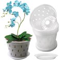 thumbnail image 1 of Macetas para Orquídeas Naturales, Paquete de 10 Macetas Orquideas Plástico Transparentes, con Orificios de Ventilación y 10 Bandeja, 1 of 4