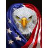 Kits Cuadrados Completos de Pintura de Diamantes Cuadro de Mosaico de Águila de Bandera Americana FF579 FLhrweasw