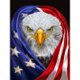 thumbnail image 1 of Kits Cuadrados Completos de Pintura de Diamantes Cuadro de Mosaico de Águila de Bandera Americana FF579 FLhrweasw, 1 of 9