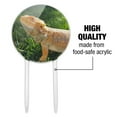 thumbnail image 6 of Acrylic Bearded Dragon in Profile Cake Topper Party Decoration for Wedding Anniversary Birthday Graduation, 6 of 6
