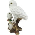 thumbnail image 5 of Ebros White Owl Perching On Tree Branch With Baby Owlets Statue 12"Tall, 5 of 5
