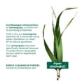 thumbnail image 5 of Garnier BIO Organic Lemongrass Daily Moisturizer For Normal To Combination Skin, 50 mL, 5 of 5
