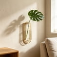 thumbnail image 5 of Gold Iron Hydroponic Vase, Clear Glass Wall Planter for Home and Office Decor, 5 of 6
