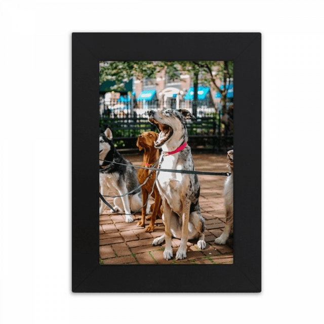 Handsome Dogs Pet Animal Picture Desktop Photo Frame Picture Display Art Painting Exhibit