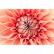 thumbnail image 1 of Pintura de diamante (DB3307) Flower Bud 5D DIY Decoración de sala de estar cuadrada 45x60cm FLhrweasw Nuevo, 1 of 1