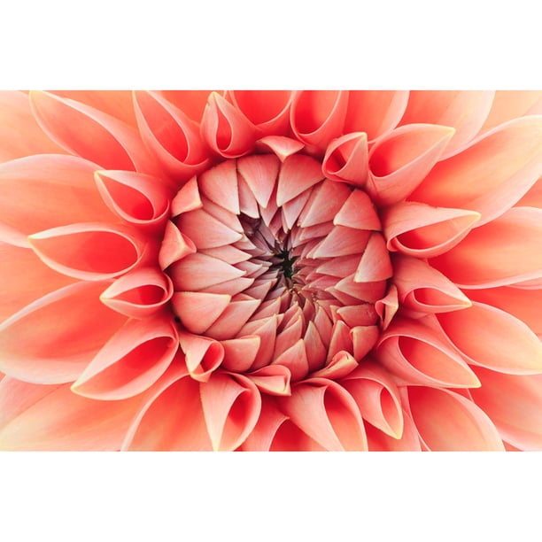 Pintura de diamante (DB3307) Flower Bud 5D DIY Decoración de sala de estar cuadrada 45x60cm FLhrweasw Nuevo