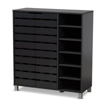 Bowery Hill Contemporary Shirley 2-Door Wood Shoe Cabinet in Dark Gray