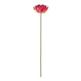 thumbnail image 2 of weibbin Artificial Lotus Flower Spring Summer Decor Realistic One Stem Fake Lotus For Living Room Pond Decoration 27.95x5.11in, 2 of 6