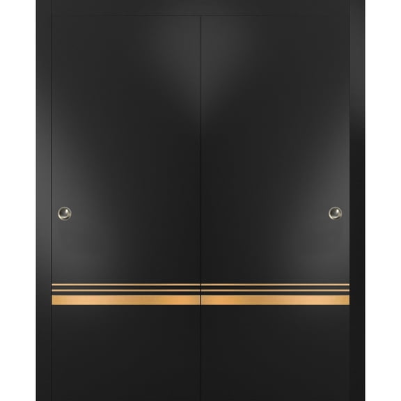 Sliding Closet Bypass Doors 36 x 80 inches | Planum 2010 Matte Black with Frosted Glass | Sturdy Rails Moldings Trims Hardware Set | Wood Solid Bedroom Wardrobe Doors