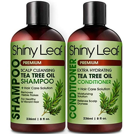 Tea Tree Oil Shampoo and Conditioner Anti-Dandruff Formula, Detoxify and Cleanse Hair & Scalp, Safe for Color Treated Hair, Dry Scalp Care, Head Lice Repellant (2 x 8 oz) (What's The Best Way To Treat Lice)