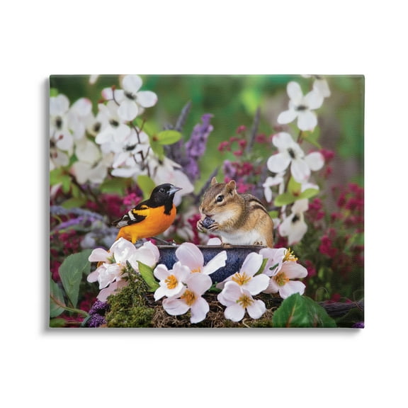 Stupell Industries Squirrel & Bird in Nature Animals & Insects Photography Gallery Wrapped Canvas Print Wall Art, 40 x 30