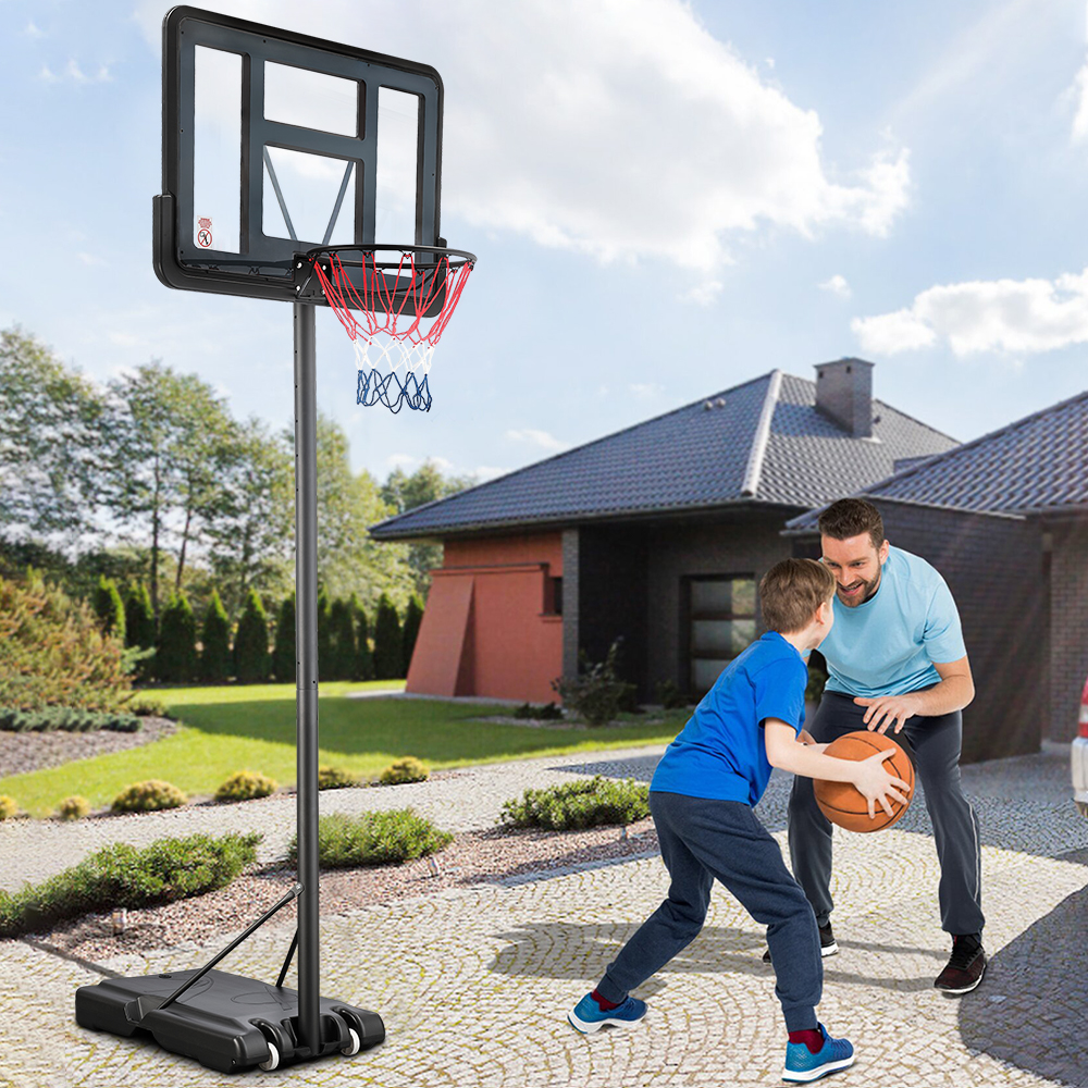 Motiv Zebra Dokumentarfilm basketball hoop argos Schlitz Clip