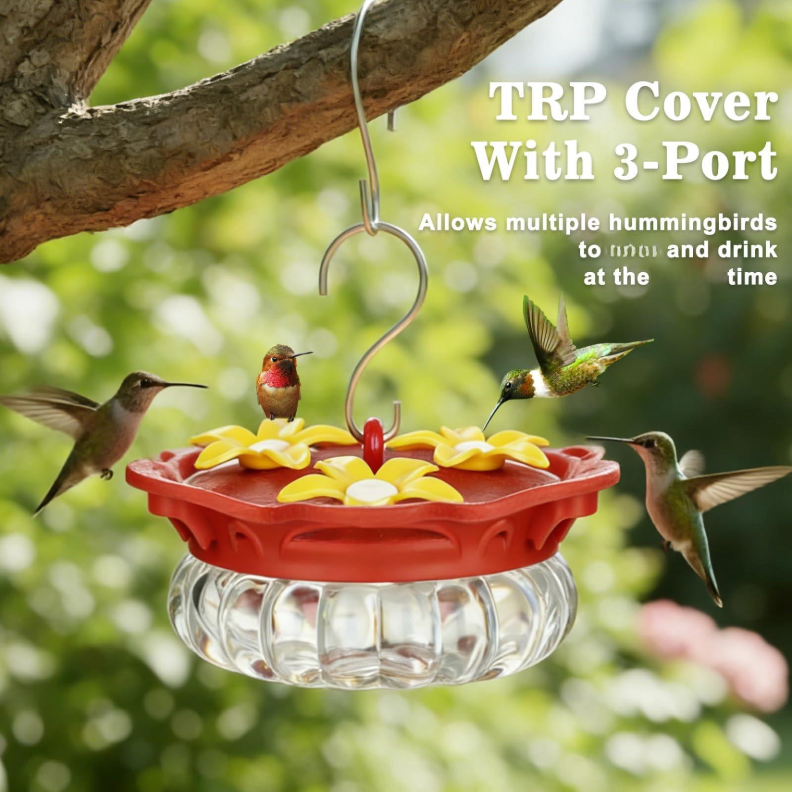 2-Pack Glass Hummingbird Feeders, Transparent, Outdoor Hanging With 3 Bee Guard Ports