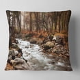 thumbnail image 2 of Designart Stream in Autumn Forest - Landscape Photography Throw Pillow - 16x16, 2 of 5