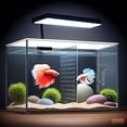 thumbnail image 2 of 3 Gallon 12.6” L Fish Nano Glass Aquarium, with Separator Plate for Betta, Multi-Functional Square Fish Tank with Filter, LED Light, Black 4mm Glass, 2 of 5