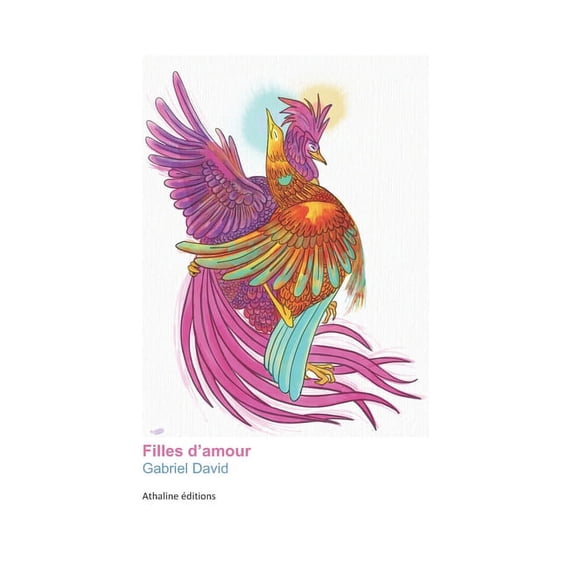 Fille s dAmour: Histoire de Flammes French Edition Paperback 2960124499 9782960124491 Gabriel David