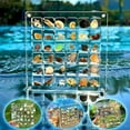 thumbnail image 2 of Shell Storage Box Mini Conch Micro Shell Specimen Collection Height Transparent Box Acrylic Storage, 2 of 7