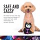thumbnail image 3 of Peluche para perros, villanos de Disney, Maléfica, 23 cm, Disney, 3 of 5