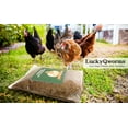 thumbnail image 5 of LuckyQworms 11 lbs Dried Mealworms for Pets Birds Chicken Fish Poultry Reptiles Rodents Small Mammals High Protein Omega-3 Fatty Acids Natural Feed Eco-Friendly Non-GMO No Harmful Chemicals, 5 of 9