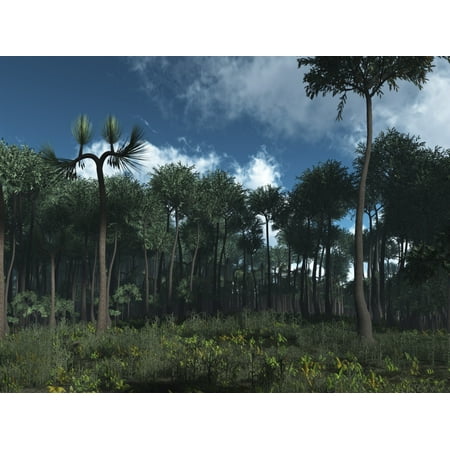 - A Carboniferous forest of Midwestern North America 350 million years ago Stretched Canvas - Walter MyersStocktrek Images (17 x 13)