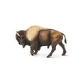 thumbnail image 2 of Safari Ltd. North American Bison Figurine - Realistic 5" Wildlife Figurine - Educational Toy for Boys, Girls, & Kids Ages 3+, 2 of 6